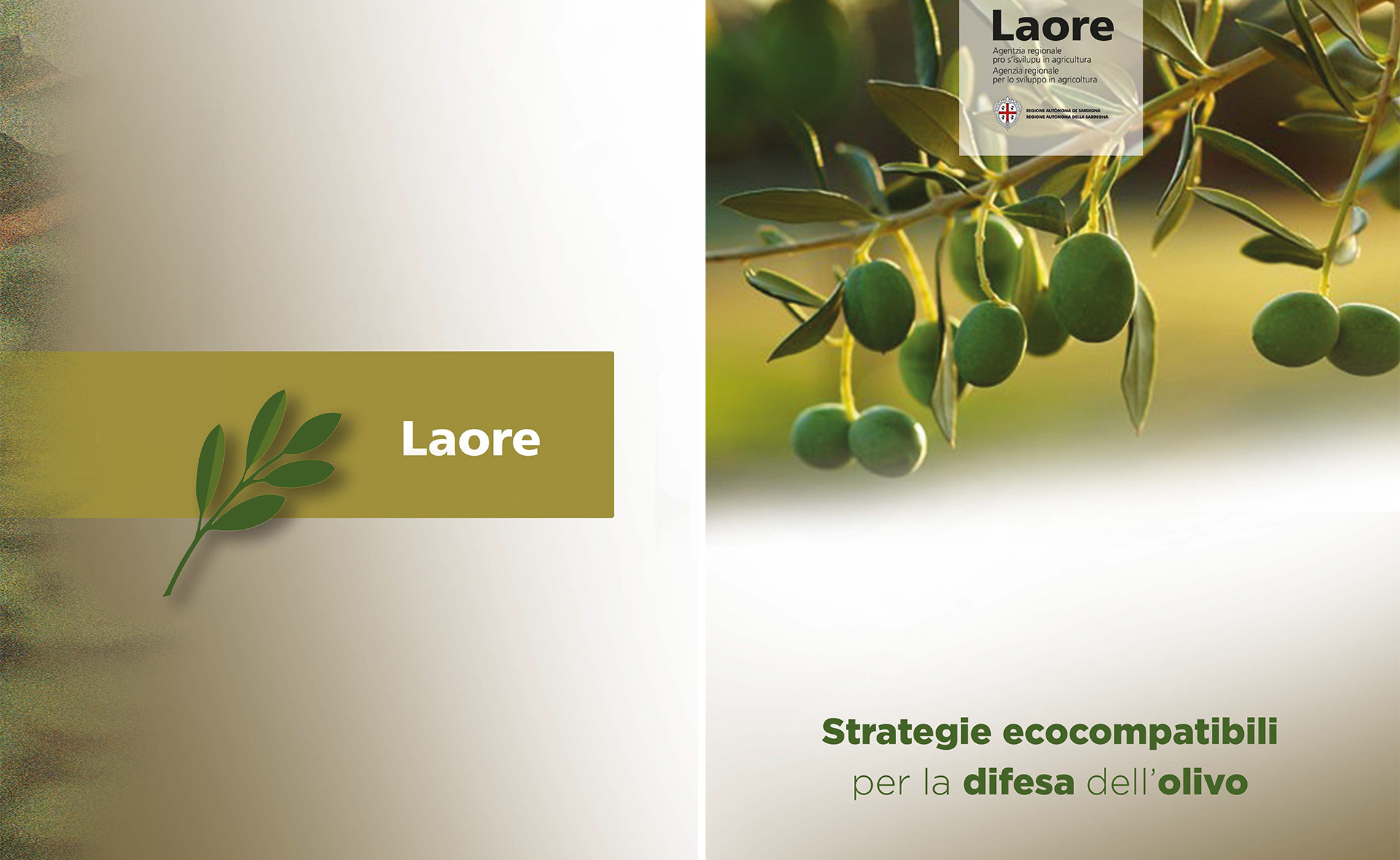 Strategie ecocompatibili per la difesa dell’olivo