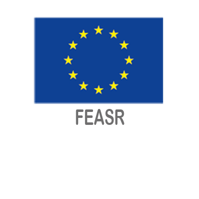 Logo UE FEASR