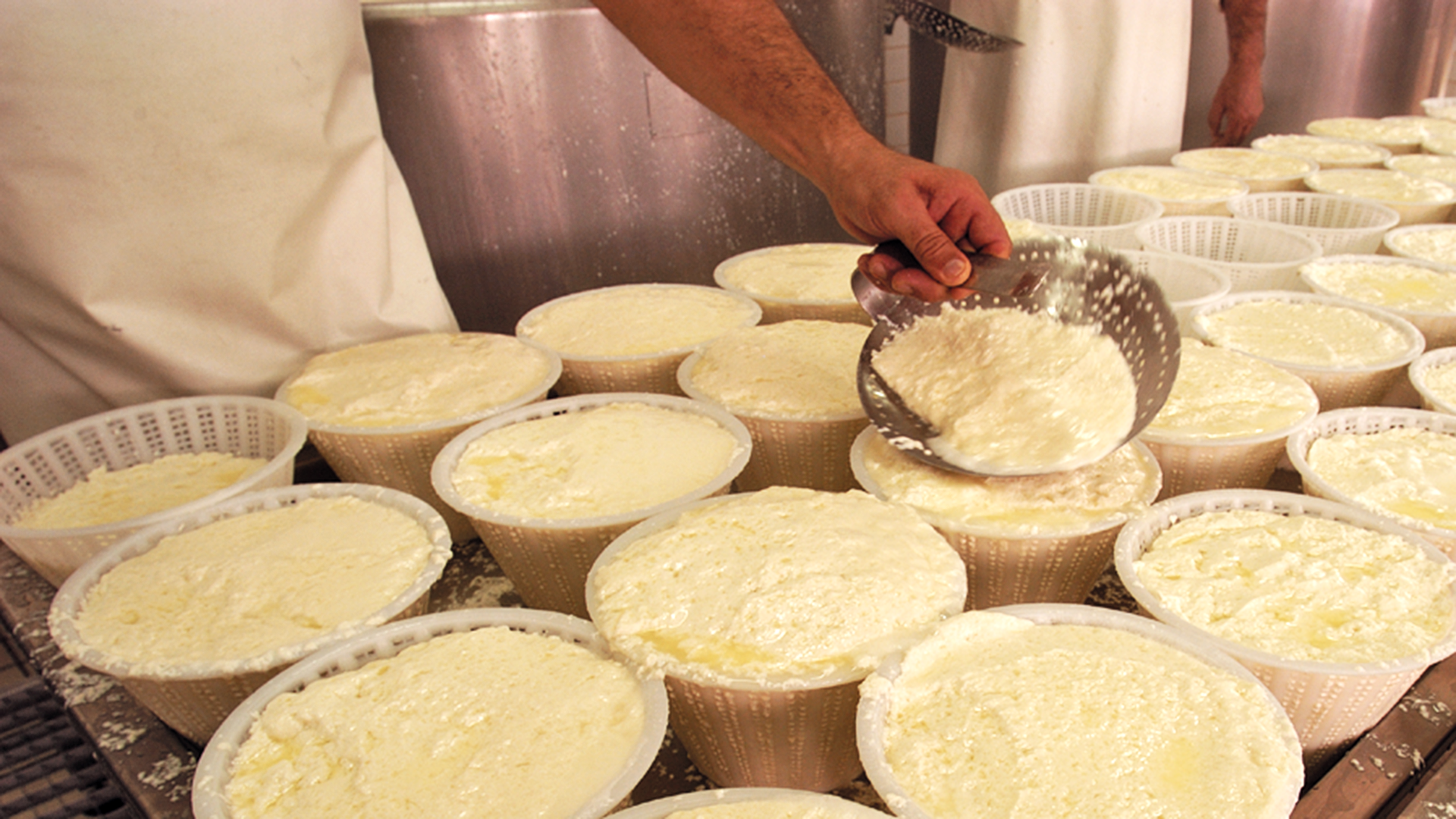 Industria lattiero casearia