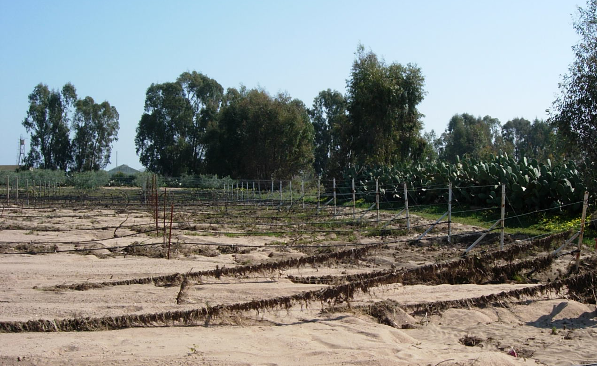 Danni da pioggia persistente