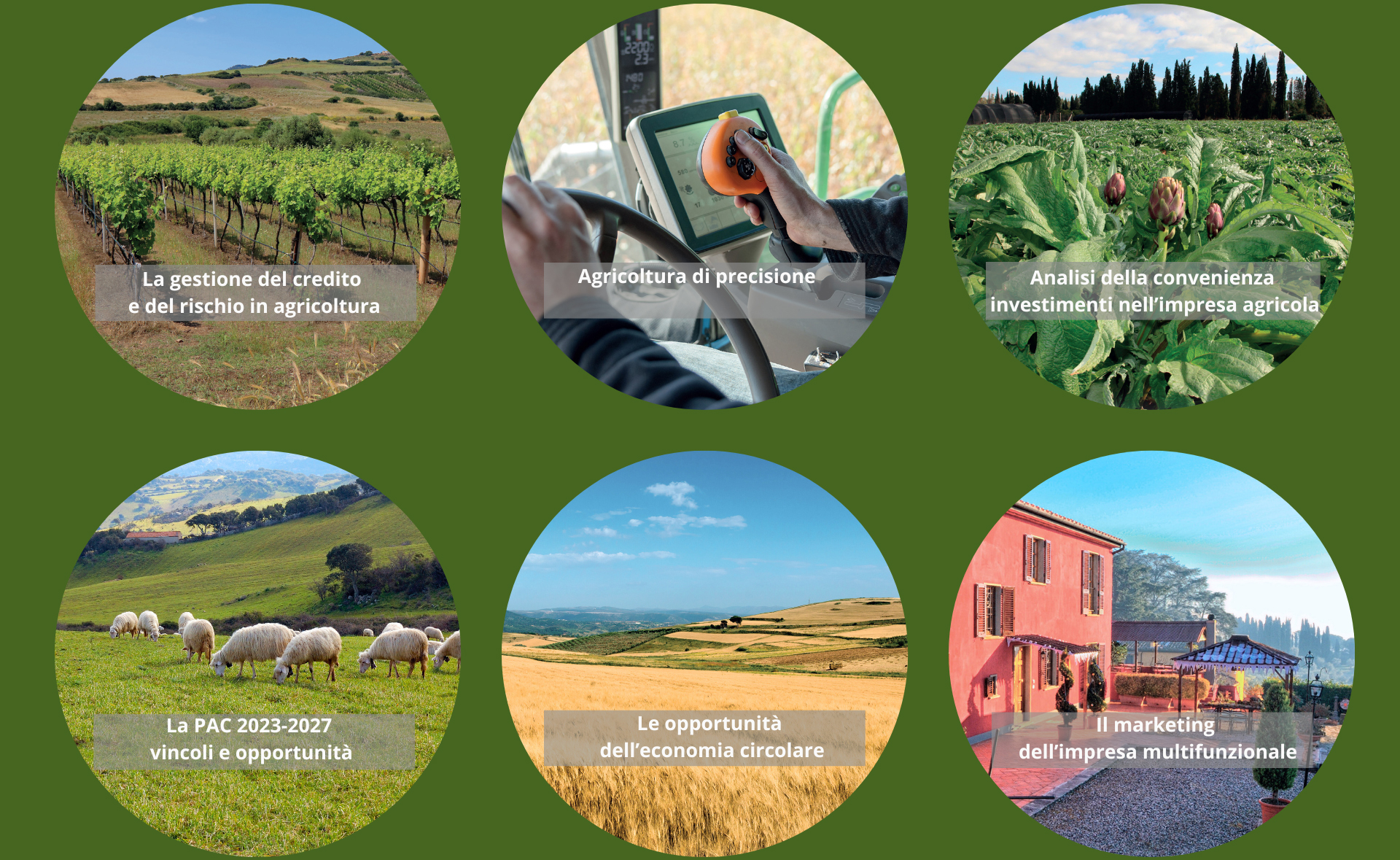 Modelli organizzativi e gestionali razionali per l’impresa - Guide pratiche