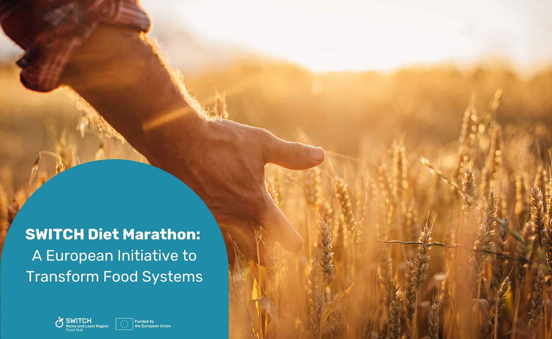 Grafica SWITCH Diet Marathon