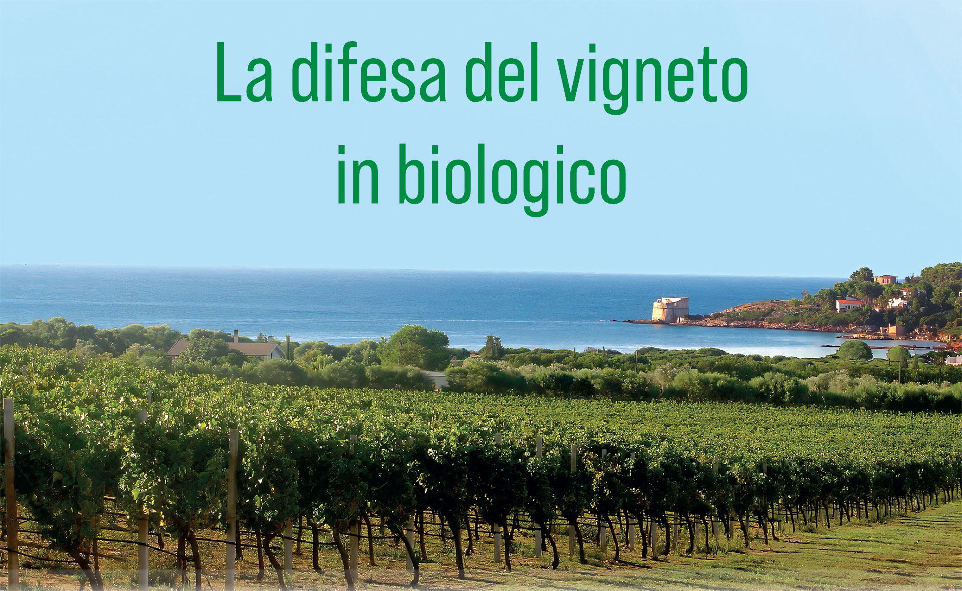 Copertina pubblicazione La difesa del vigneto in biologico
