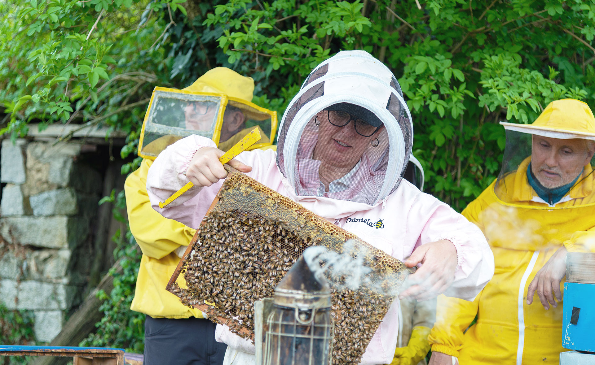 Apicoltura, ispezione arnia