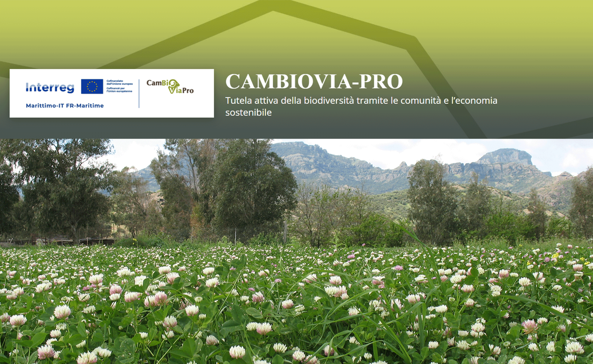 Grafica progetto CamBioVia-Pro